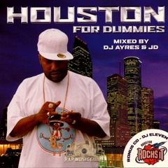 Houston For Dummies - Final