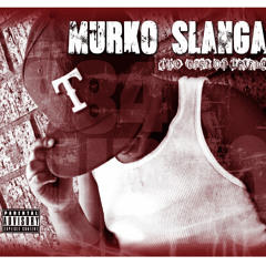 Stunt'n On U Niggaz feat. Shameka (Prod by. Chitown)