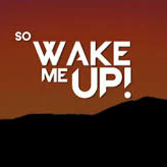 Avicii - Wake me up (Tech-House Shiran-ta & Dj Toxi Mix ) Mix Preview