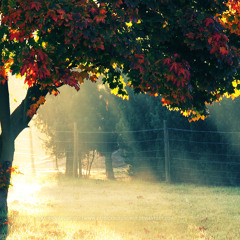Maarten - Herfst (Mixtape Autumn 2013)