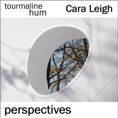 tourmaline hum and Cara Leigh - Perspectives