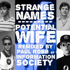 Potential Wife (Information Society Remix)