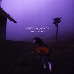 Whales In Cubicles - Wax & Feathers