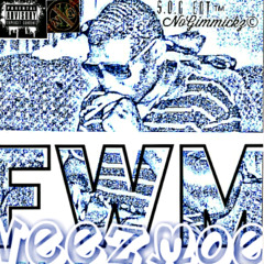 Veezmoe-FWM(SINGLE)