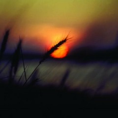 Martin Mittone - Near Skyline (Orginal Mix)