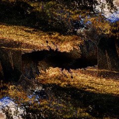Garden Of The Mind (Reworked)