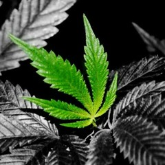 Put The Mic A Way at Craigcook