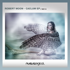[ND114] Robert Moon - Caelum (Original Mix)