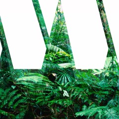 Brudan & Sondrey - Nightfall (Original Mix) [Forthcoming on Wild Wood]