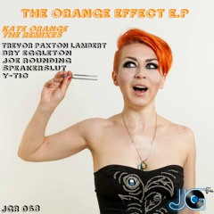 Stereo Radio - Kate Orange (Joe Rounding Remix) Sample