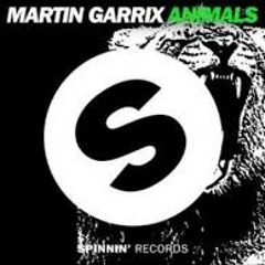 Animals Martin Garrix Clap Intro + Hype !! DJ Ebay