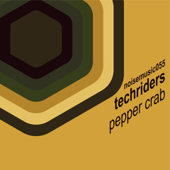 TECHRiDERS - Pepper Crab (Dr.Shingo Remix) [ Noise Music 055]