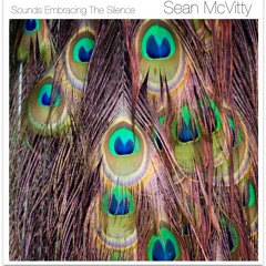 Sean McVitty - Sounds Embracing Silence (sample)