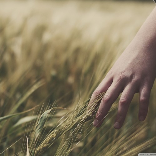 JJ-Still Dre Dr Dre (ft Snoop Dogg)by TrapGR