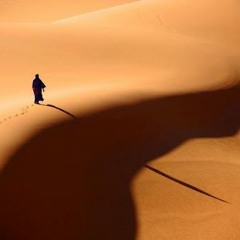 وحدى - وسط البلد