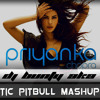 Exotic(Pitbull Mashup Mix) BY DJ Bunty Aka