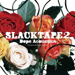 SLACKTAPE Vol.2