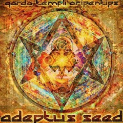 Sattelite Moon - Gordo Templi FT R.I.Z and Joey Menza (cuts by Dj MadHandz)