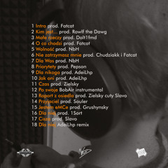 13.Raport z osiedla prod. Ziel