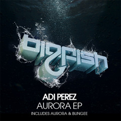 Adi Perez - Bungee (Original Mix)