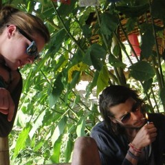 Yeppe - Biological Electro Forest. (Psytrance/Chill Try-out)