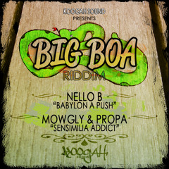 BIG BOA RIDDIM MIX PROMO 2013