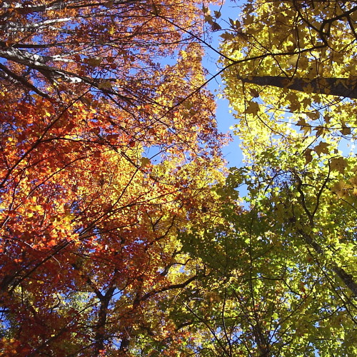 JoshWetherington PPS SEPT2012