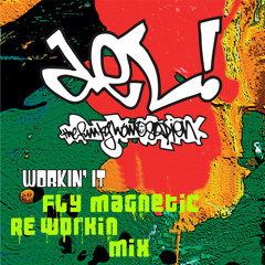 Del The Funky Homosapien - Workin' It(Brand New Reworkin' Mix By Fly Magnetic)