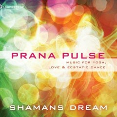 Shaman's Dream - Mother Water (Prana Pulse sample)