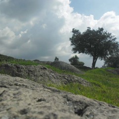 Attacks and Destroys