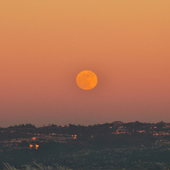 Stay Tuned: Moonrise Kingdom