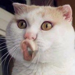Ta Nên Dừng Lại
