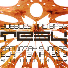 REsy - Bubbles & Bass Sunrise, Burning Man 2013