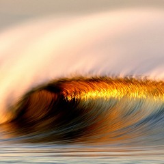 A Wave Of Beauty