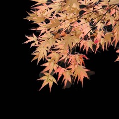 شب از شب‌های پاییزی‌ست-اخوان ثالث-دکلمه رضا پیربادیان