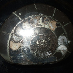 The Twists Of Clarity