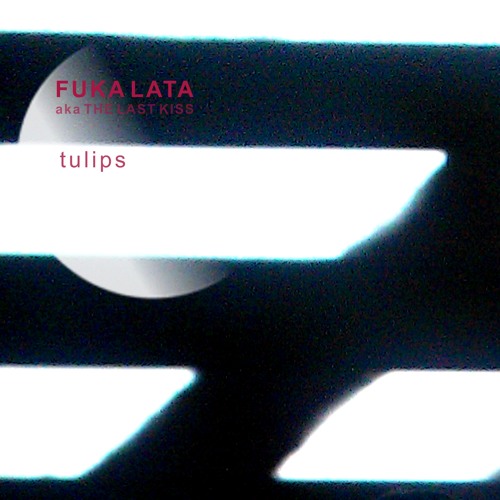 Fuka Lata  | Tulips