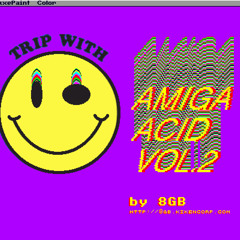 Amiga Acid Mixtape Vol.2