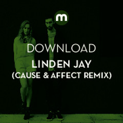 Download: Linden Jay (Cause & Affect remix)
