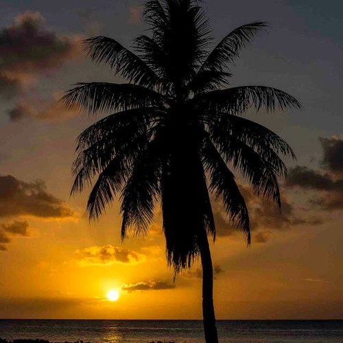 18/14 Eight - In, Fo - Tin