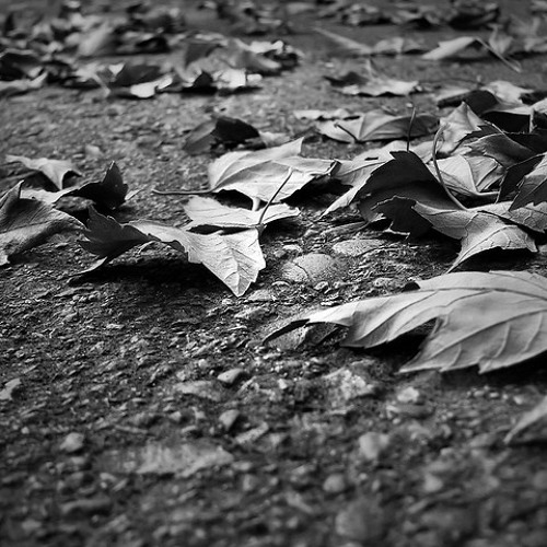 Sweater Weather Remix