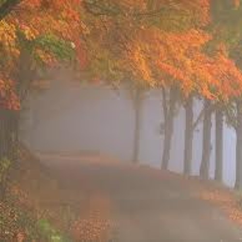 Offrande (performed and recorded by Phil Best)(Op. 88, 2013)