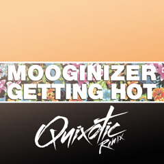 Mooginizer - Getting Hot (Quixotic Remix)