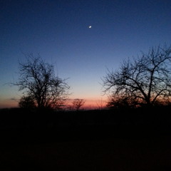 Le Mal - Les Indolents - 2013