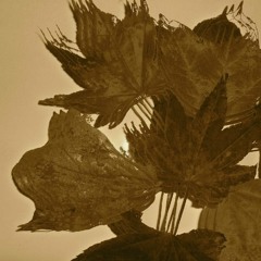 October Is Closing In  (demo)