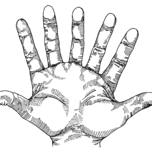 SEVEN