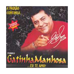 PENSE - Gatinha Manhosa por Paulo.mp3