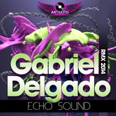 Gabriel Delgado - Echo Sound ( GD Remix 2014 )