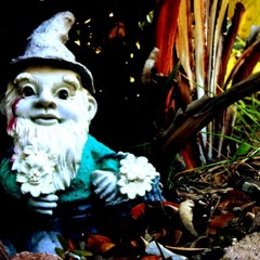 The Indian, The Eagle, The Rabbit