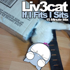 If I Fits I Sits - 15 Min Deep House mix